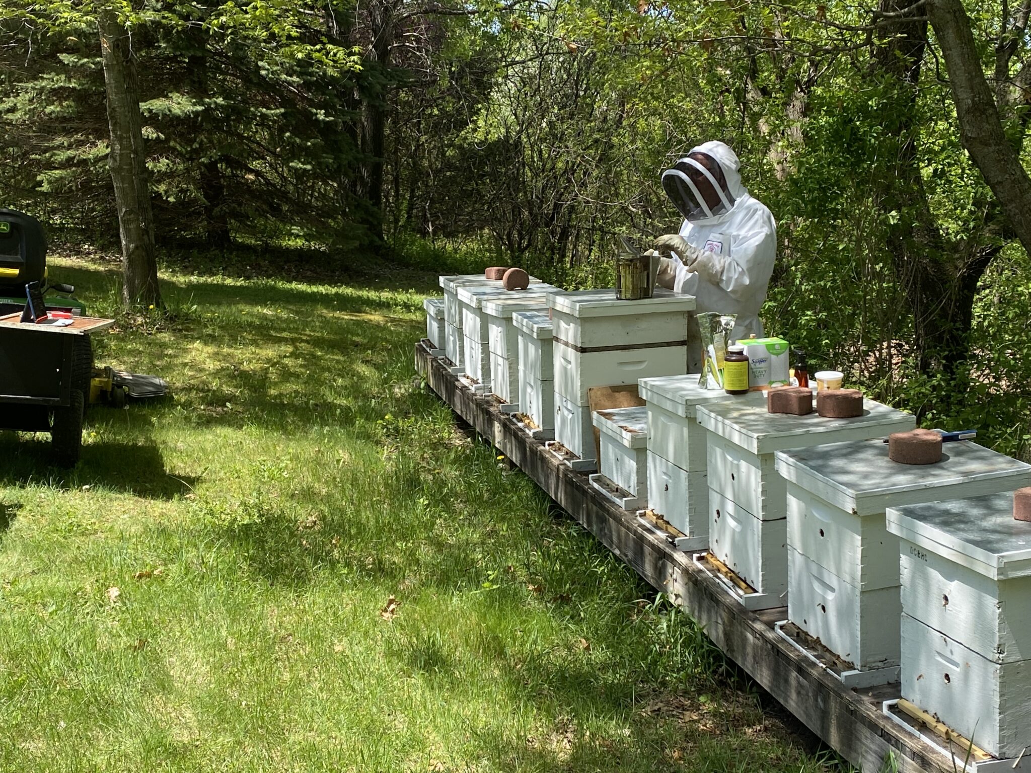 Aspen Ridge Honey Farm: Bees Are Amazing Creatures - Meet the Minnesota ...